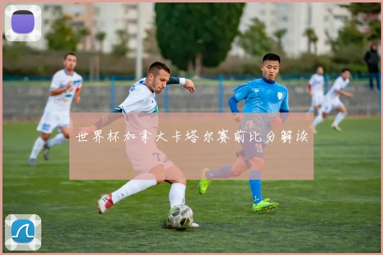 世界杯加拿大卡塔尔赛前比分解读