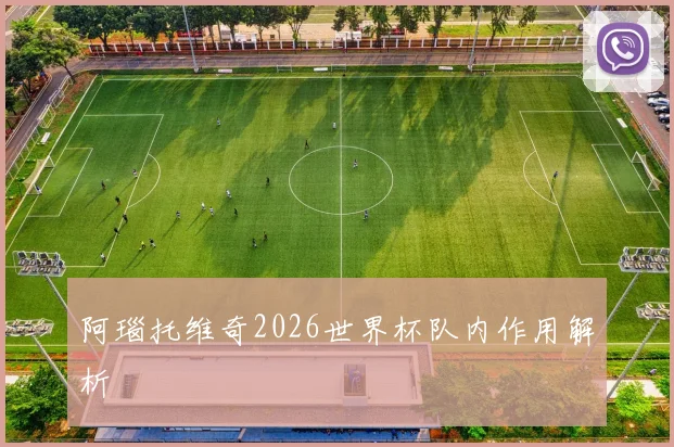 阿瑙托维奇2026世界杯队内作用解析