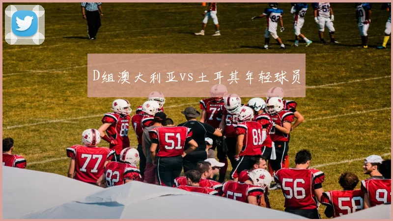 D组澳大利亚vs土耳其年轻球员