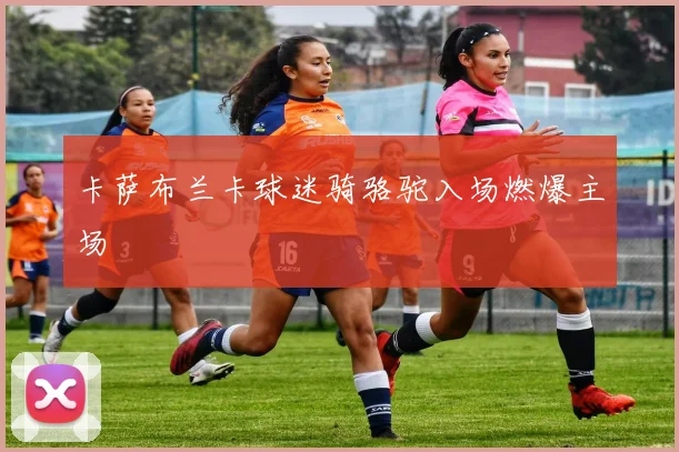 卡萨布兰卡球迷骑骆驼入场燃爆主场