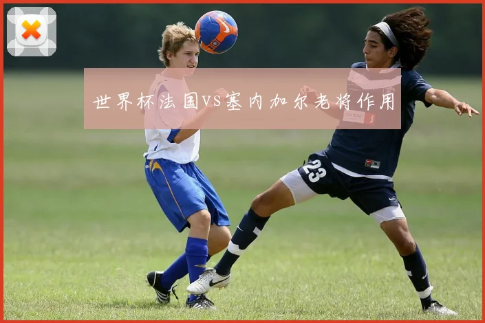 世界杯法国vs塞内加尔老将作用