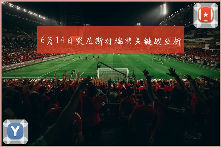6月14日突尼斯对瑞典关键战分析