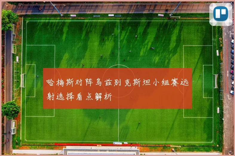 哈梅斯对阵乌兹别克斯坦小组赛远射选择看点解析